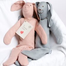 kanin-och-gris-72-dpi