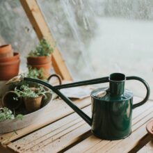 HawsWateringCansEdited-48_RT_1080x